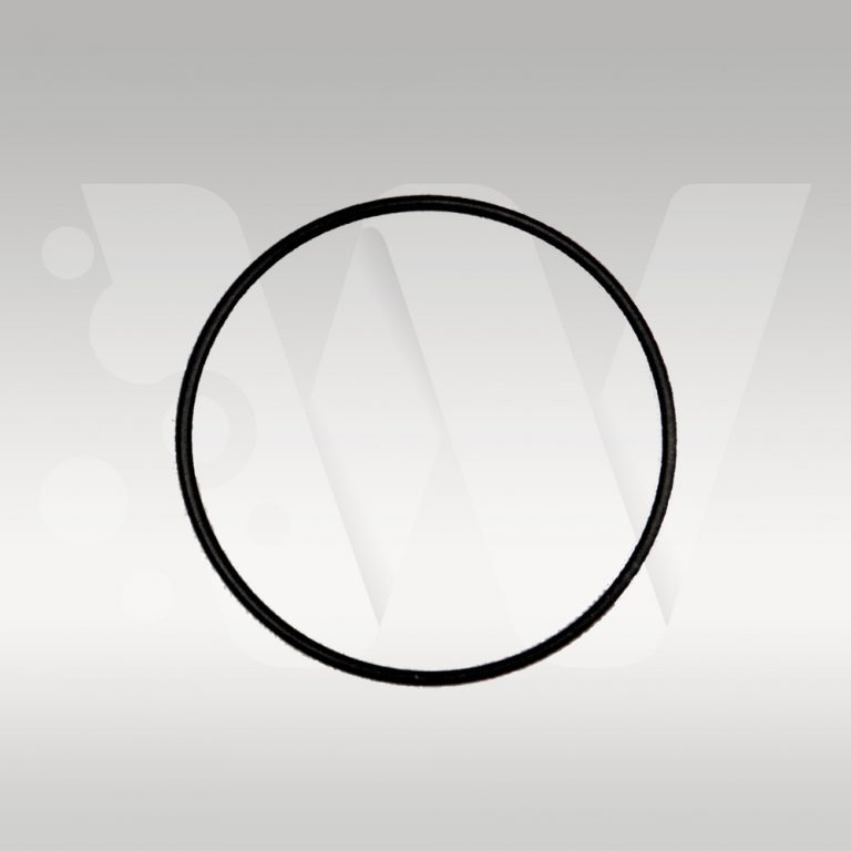 Replacement O-Ring for FSI X100 Filter Housing
