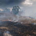 bushfires-image_small